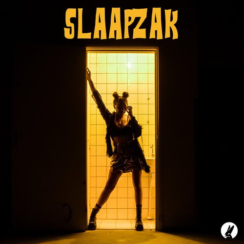 Slaapzak_poster_image