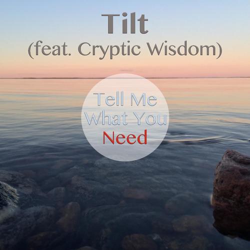 Tell Me What You Need (feat. Cryptic Wisdom)
