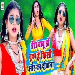 Tera Babu Aur Kisi Ka