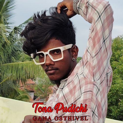 Tona Pudichi