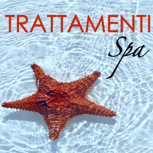 Meditazione Tibetana cover art
