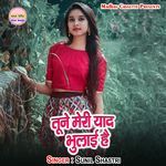 Tune Meri Yaad Bhulayi Hai