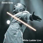 Please Forgive Me (Live in Austin)