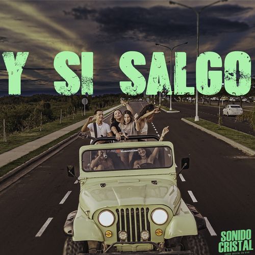 Y si Salgo_poster_image