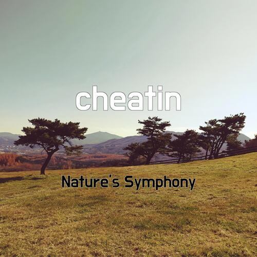 cheatin_poster_image