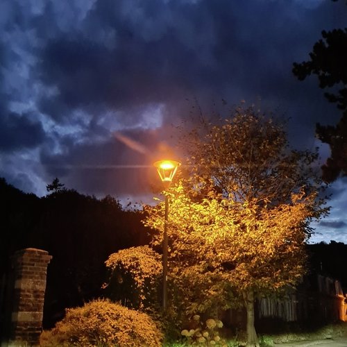 lavender town theme (from Pokémon)