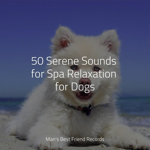 50 Serene Sounds for Spa Relaxation for Dogs