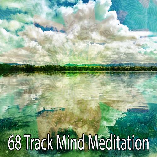 68 Track Mind Meditation