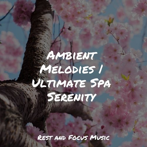 Ambient Melodies | Ultimate Spa Serenity_poster_image