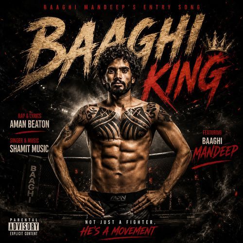 Baaghi King