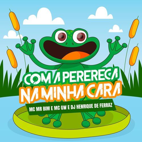 Com a Perereca na Minha Cara_poster_image