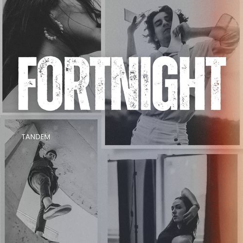 Fortnight