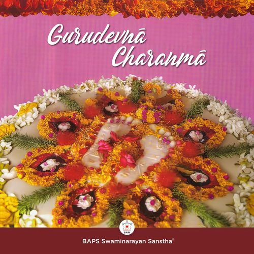Ho Narayan Swami cover art