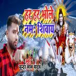 Har Har Bhole Namah Shivay