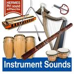 Instrument Sounds