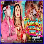 Janvo Se Jyada Jekra Manat Rahni