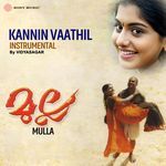 Kannin Vaathil (Instrumental)