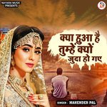 Kya Hua Hai Tumhe Kyu Judaa Ho Gaye (Hindi)