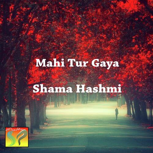 Mahi Tur Gaya