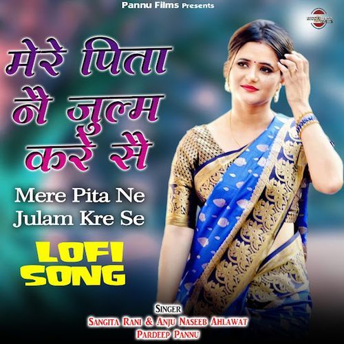 Mere Pita Ne Julam Kre Se (Lofi Remix)