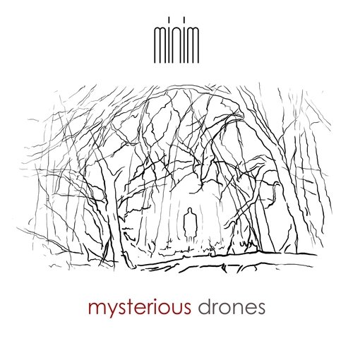 Mysterious Drones