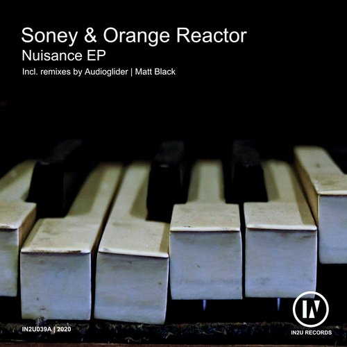 Nuisance (Audioglider Remix) cover art