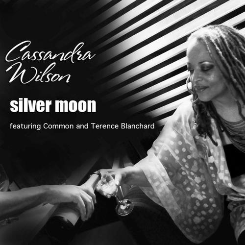 Silver Moon (feat. Common &amp; Terence Blanchard)_poster_image