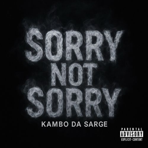 Sorry Not Sorry cover art