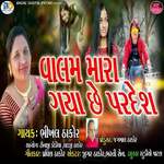 Valam Mara Gaya Chhe Pardesh