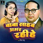 Baba Saheb Amar Rahi He