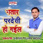 Bhatar Pardeshi Ho Gail