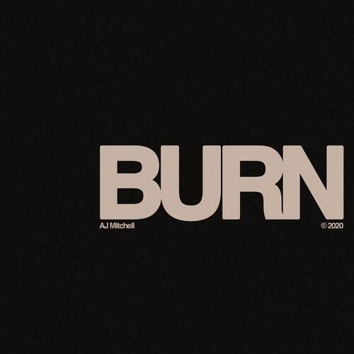 Burn_poster_image