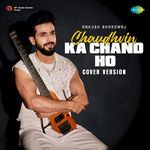 Chaudhvin Ka Chand Ho - Cover Version