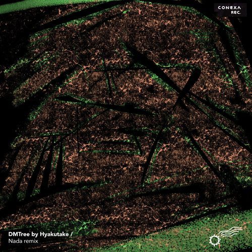DMTree (Nada Remix)