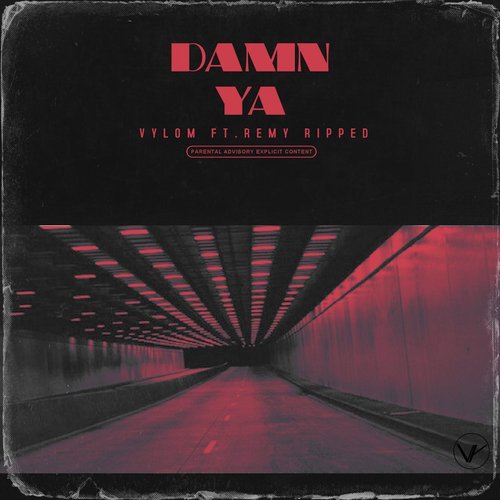 Damn Ya (feat. Remy Ripped)