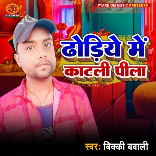 Dhodiye Me Katli Pila