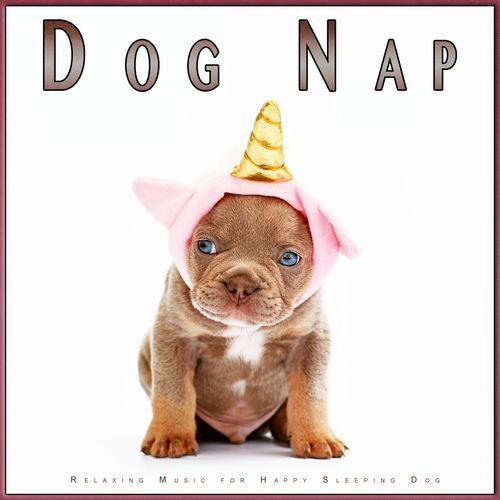 Calm Dog Music
