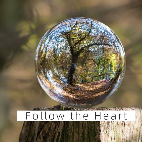 Follow the Heart_poster_image