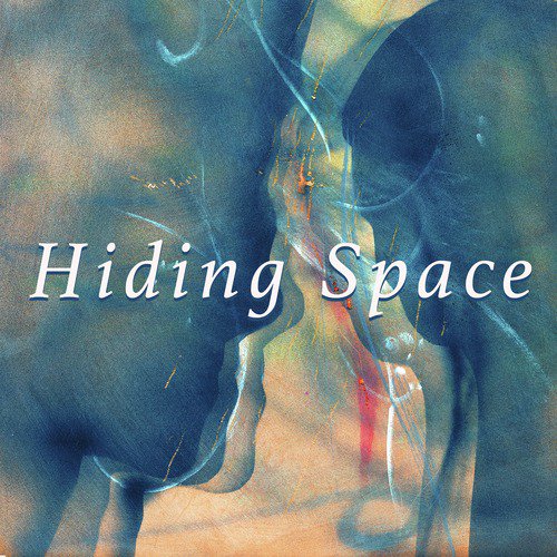 Hiding Space_poster_image