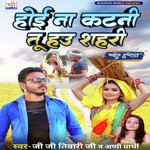 Hoi Na Katni Tu Hau Shahri