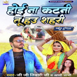 Hoi Na Katni Tu Hau Shahri