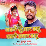 Jable Kunwar Badu Table Hamar Badu - Single