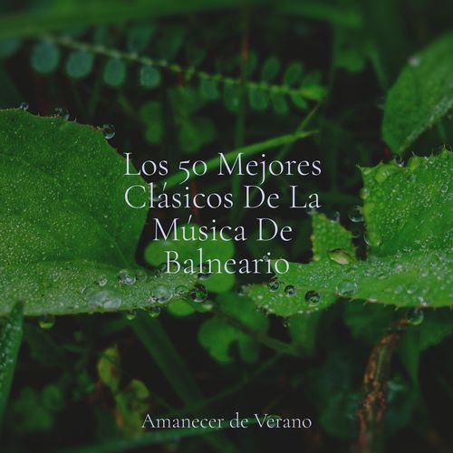 Melodías Nómadas cover art