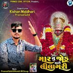 Mar Nu Jod Mari Lilagari