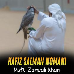 Mufti Zarwali Khan-IhwRUyFRXks