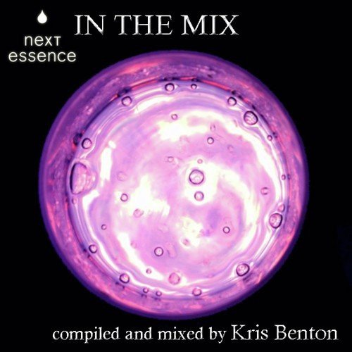 Next Essence in the Mix - Labelcompilation Vol. 1