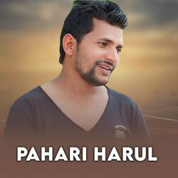 Pahari Harul-F1wDbh57aGw