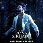 Rona Sikhade Ve (Lofi Slow &amp; Reverb)