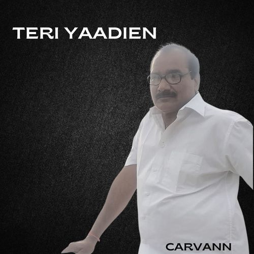 TERI YAADIEN