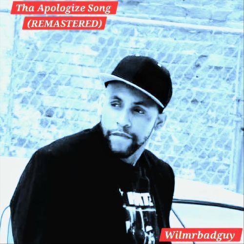 The Apologize Song
